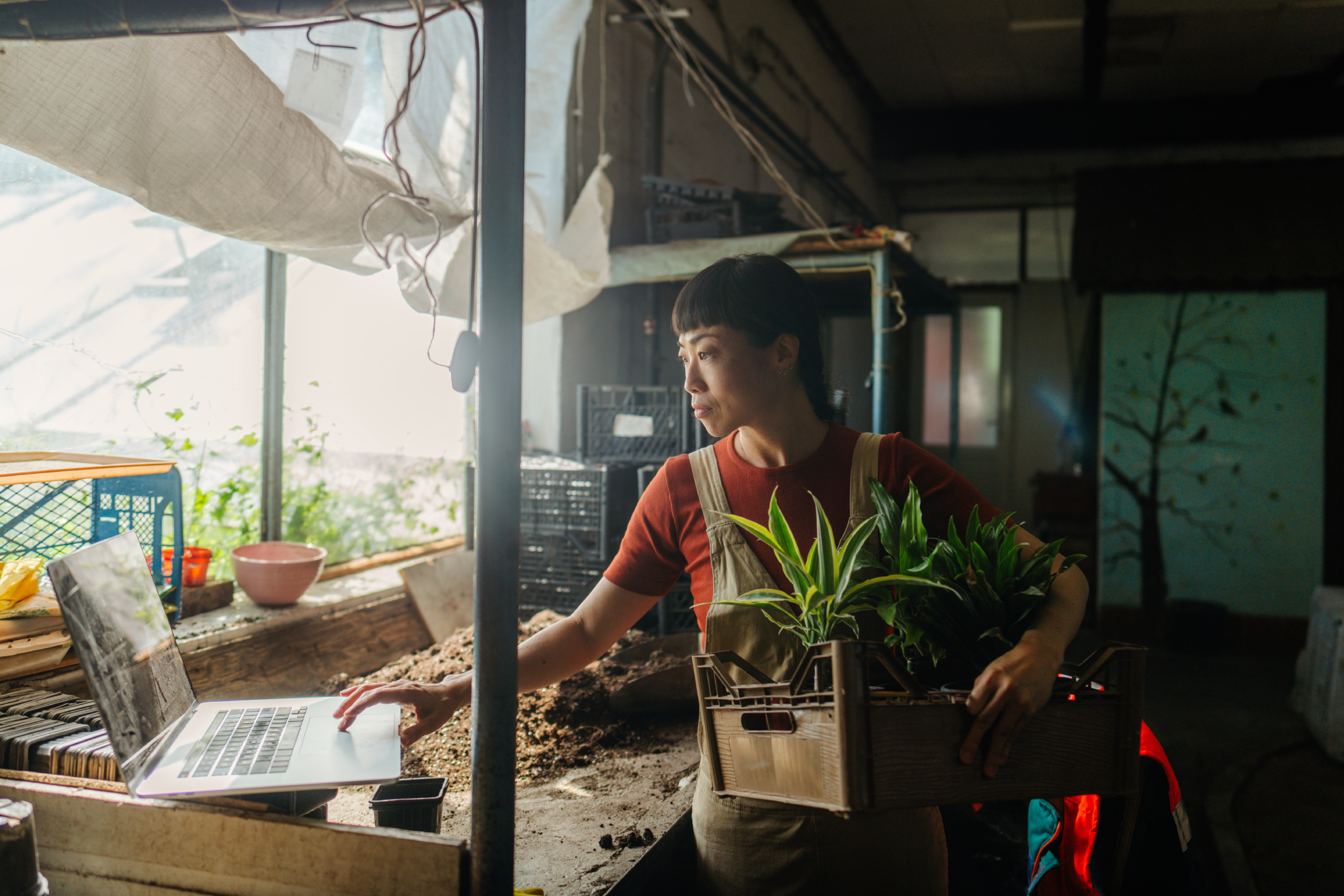 5 Challenges kiwi businesses are facing and how to overcome them